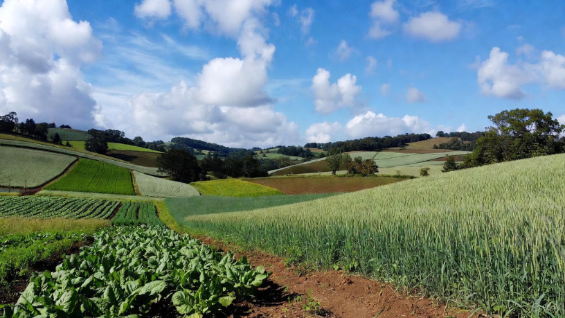 Aldo Vendramin reforça que nutrição regenerativa é o caminho para produzir mais com menor impacto ambiental.