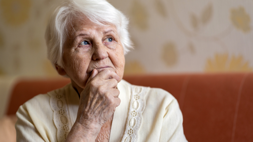 Sindnapi - Sindicato Nacional dos Aposentados, Pensionistas e Idosos