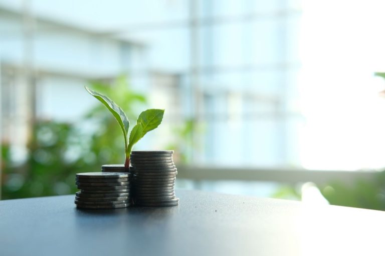 Pequena planta brotando entre moedas empilhadas, simbolizando investimento e crescimento sustentável